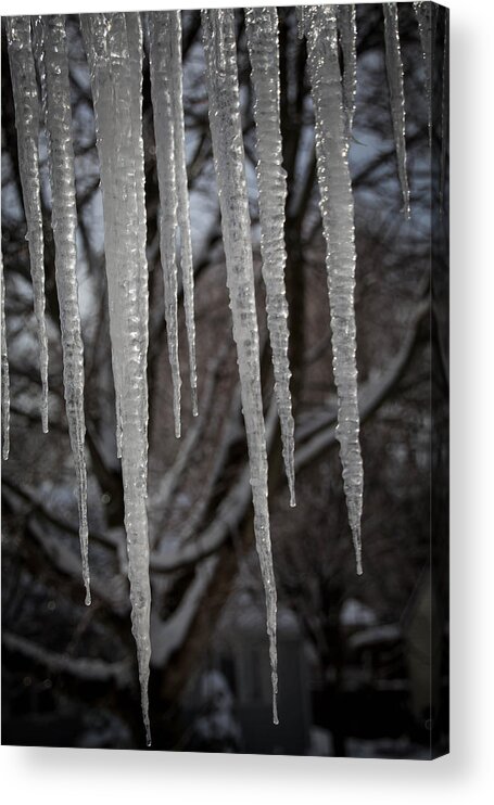 Ice Acrylic Print featuring the photograph Icicles by Susan Jensen