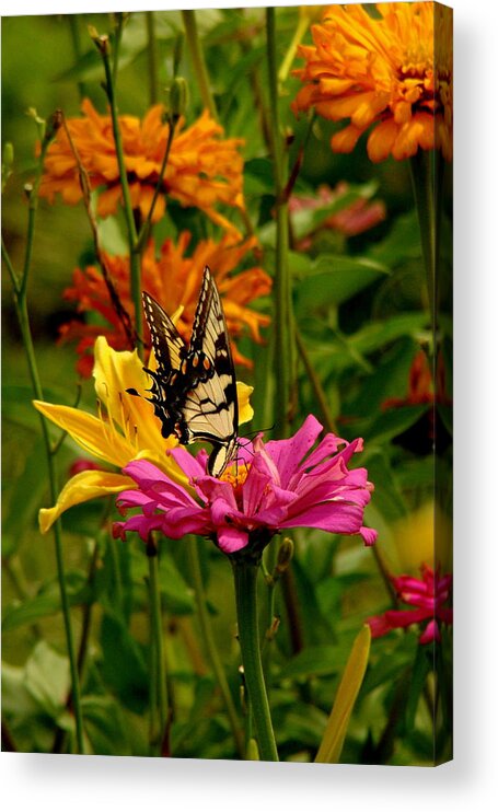 Fine Art Acrylic Print featuring the photograph In Another World by Rodney Lee Williams