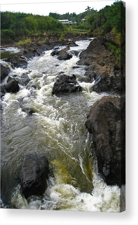 Water Acrylic Print featuring the photograph In The Flow by Christie Kowalski