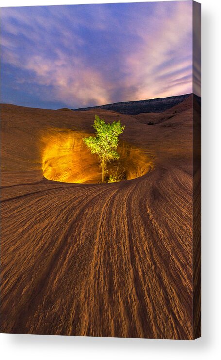 Utah Acrylic Print featuring the photograph Inner Light by Dustin LeFevre