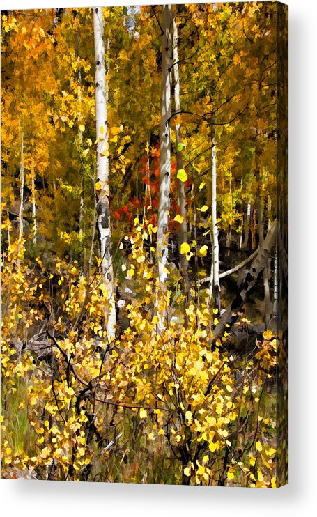 Autumn Acrylic Print featuring the digital art Into Autumn by Lana Trussell