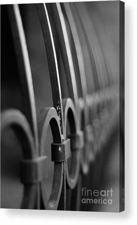 Black And White Acrylic Print featuring the photograph Iron Gate by Tamara Becker