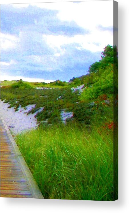 Island Acrylic Print featuring the photograph Island State Park Boardwalk by Pamela Hyde Wilson