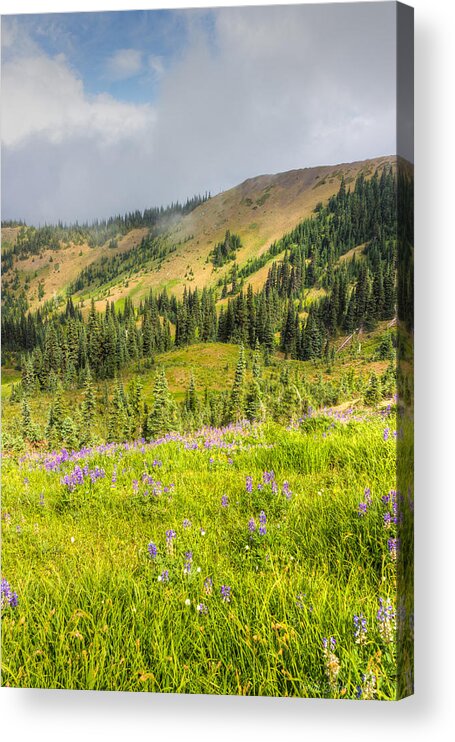 Altitude Acrylic Print featuring the photograph It Couldn't Be Prettier by Heidi Smith