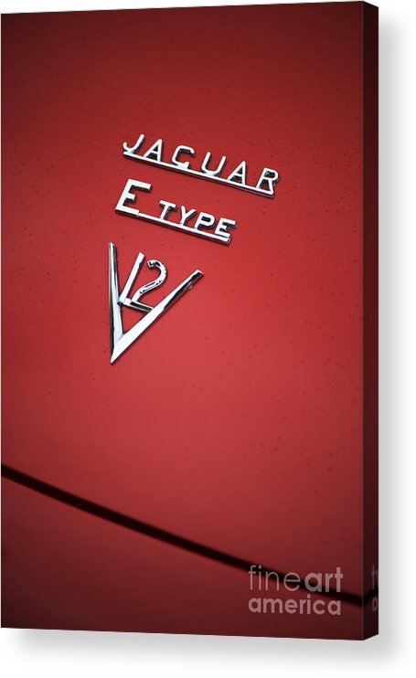 Jaguar Acrylic Print featuring the photograph Jaguar E Type V12 Abstract by Tim Gainey