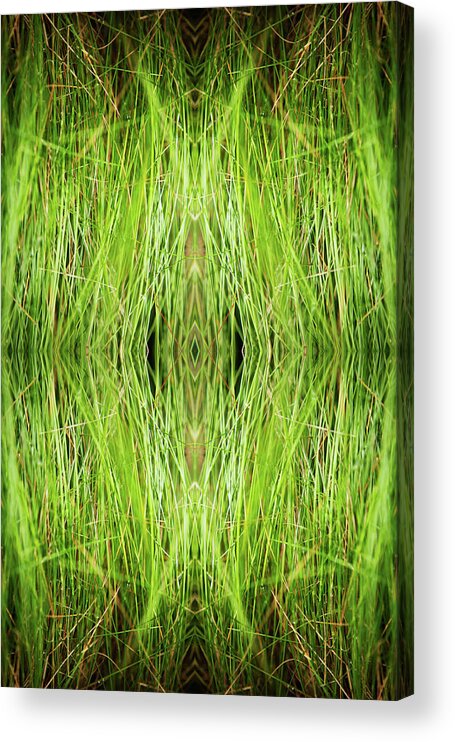 Tranquility Acrylic Print featuring the photograph Kaleidoscope Image Of Grass by Silvia Otte