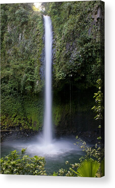 Beauty In Nature Acrylic Print featuring the photograph La Fortuna Waterfall by Brian Kamprath