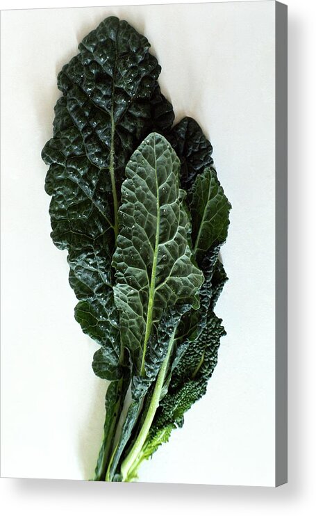 Food Acrylic Print featuring the photograph Lacinato Kale by Romulo Yanes