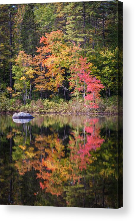 Leaves Acrylic Print featuring the photograph Lake Chocorua Moment of Reflection by Karen Stephenson