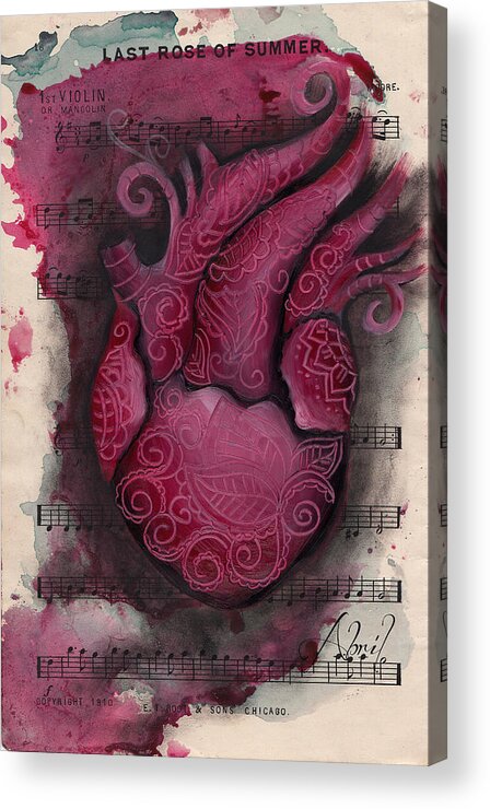Human Heart Acrylic Print featuring the painting Last Summer Rose by Abril Andrade