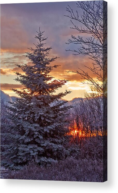 Sunrise Acrylic Print featuring the photograph Last Sunrise of 2013 by Brian Simpson