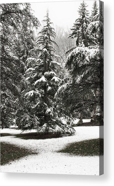 Aboretum Acrylic Print featuring the photograph Late Season Snow At The Park by Gary Slawsky