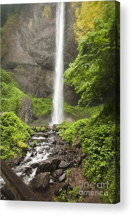 Waterfall Acrylic Print featuring the photograph Latourelle Falls 10a by Rich Collins