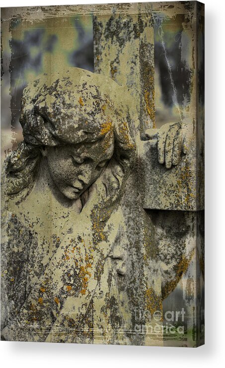 Lean On Me Acrylic Print featuring the photograph Lean on Me by Terry Rowe