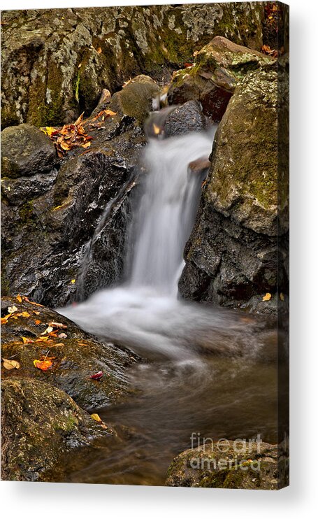 Fall Acrylic Print featuring the photograph LePetit Waterfall by Susan Candelario