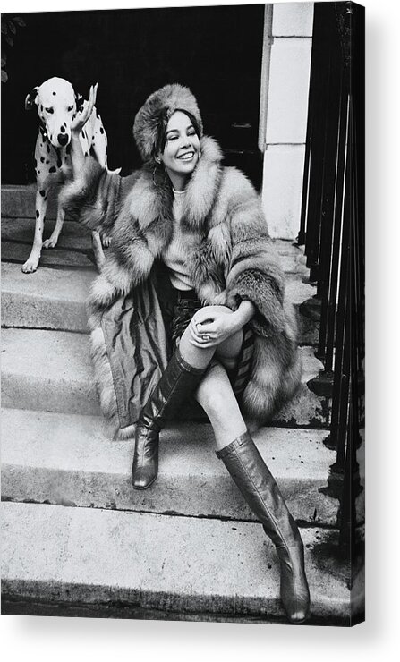 Actress Acrylic Print featuring the photograph Leslie Caron Wearing A Fox Coat by Henry Clarke