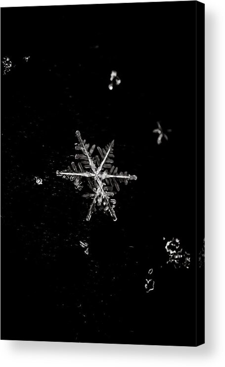 Snowflake Acrylic Print featuring the photograph Let it Snow by Sara Frank