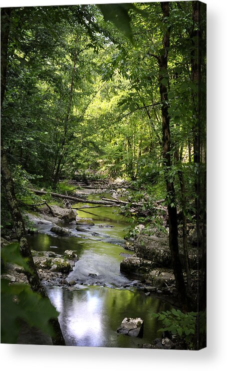Little River Acrylic Print featuring the photograph Little River Smoky Mountains by George Taylor