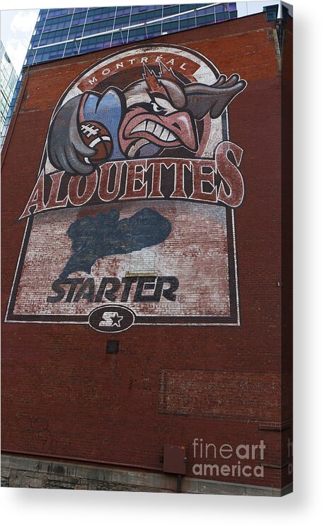 Travel Acrylic Print featuring the photograph Logo for the Montreal Alouettes by Jason O Watson