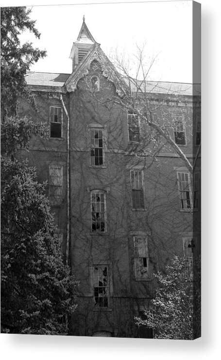 Creepy Acrylic Print featuring the photograph Looming by Melissa Newcomb