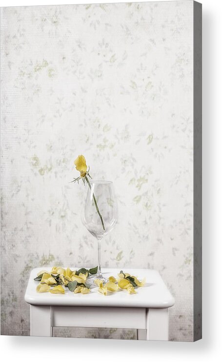 Rose Acrylic Print featuring the photograph Lost Petals by Joana Kruse