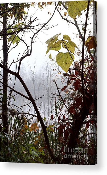 Landscape Acrylic Print featuring the photograph Lotor Lake by Jack R Brock