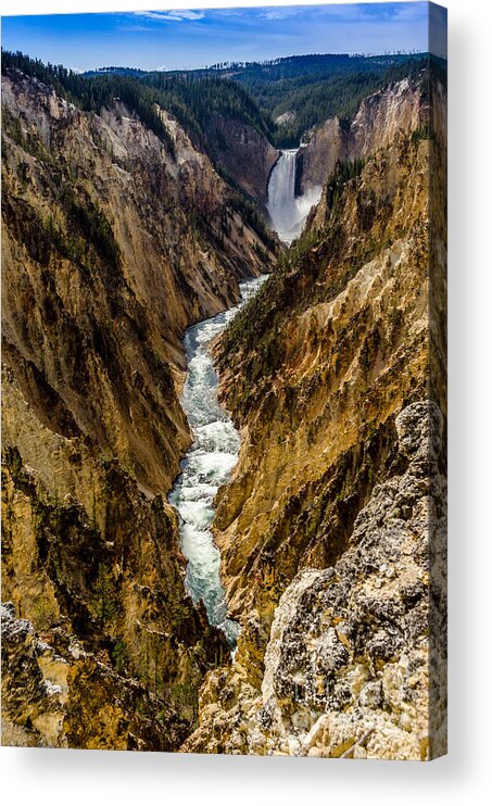 Lower Falls Of Grand Canyon Of Yellowstone Acrylic Print featuring the photograph Lower Falls of Grand Canyon of Yellowstone by Debra Martz