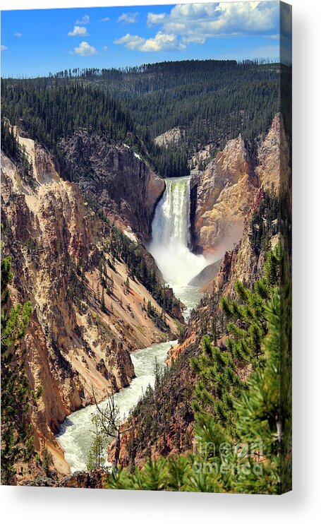 Waterfalls Acrylic Print featuring the photograph Lower Falls of Yellowstone by Jemmy Archer