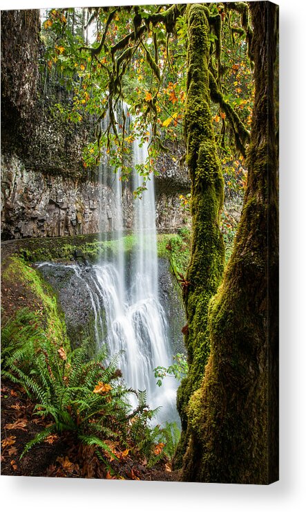 Silver Falls State Park Acrylic Print featuring the photograph Lower South Falls by Brian Bonham