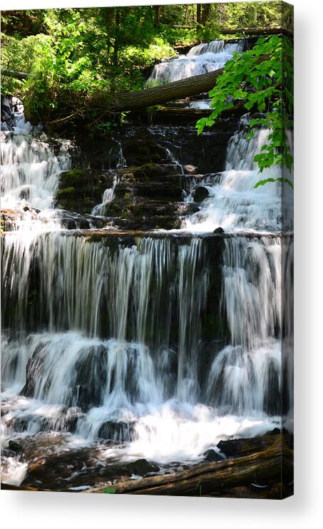 Waterfall Acrylic Print featuring the photograph Lwv60017 by Lee Winter