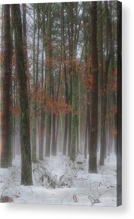 Fog Acrylic Print featuring the photograph Magic in the Fog 1 by Beth Sawickie