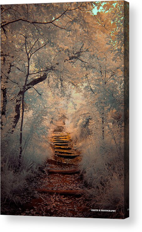 Magic Acrylic Print featuring the photograph Magic path by Cristo Bolanos