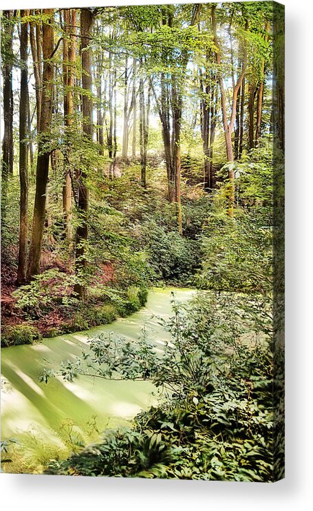 Botanic Gardens Acrylic Print featuring the photograph Magic World of Botanic Gardens by Danuta Antas Wozniewska