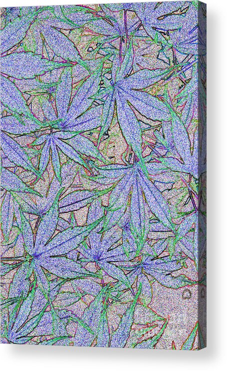 Digital Acrylic Print featuring the photograph Maple Leaves No.2 by Tony Mills
