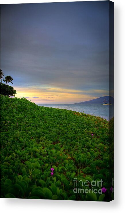 Maui Morning Acrylic Print featuring the photograph Maui Morning by Kelly Wade