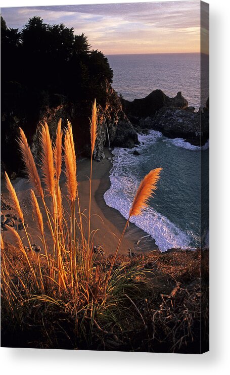 Mcway Falls Acrylic Print featuring the photograph McWay Falls by Doug Davidson