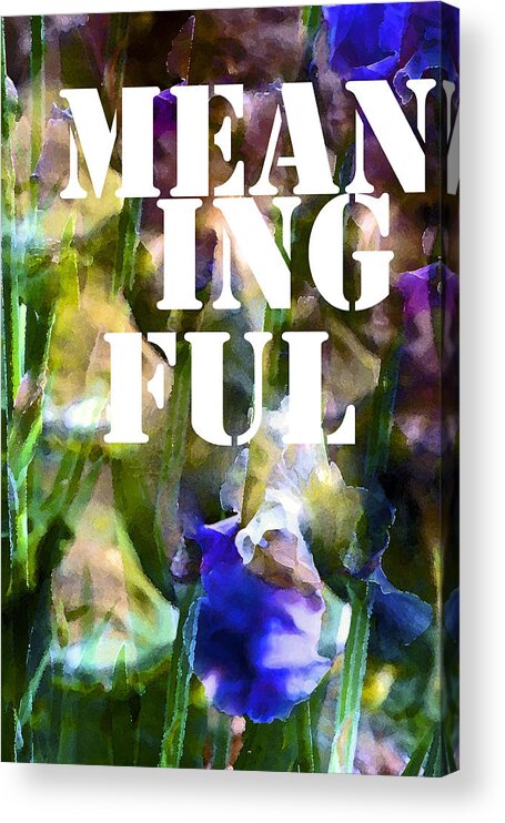 Meaningful Acrylic Print featuring the photograph Meaningful by Pamela Cooper