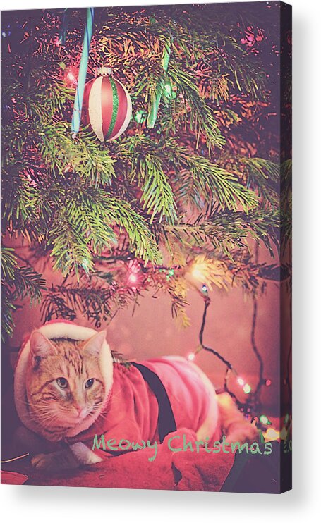 Christmas Acrylic Print featuring the photograph Meowy Christmas by Melanie Lankford Photography