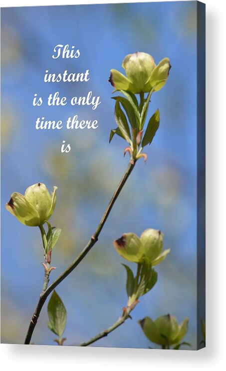 Moment In Time Acrylic Print featuring the photograph Moment in Time by Maria Urso