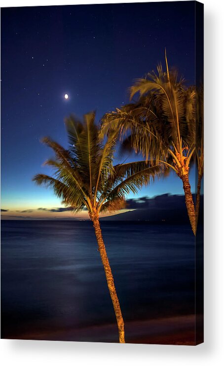 Frond Acrylic Print featuring the photograph Moon And Stars In The Night Sky by Scott Mead