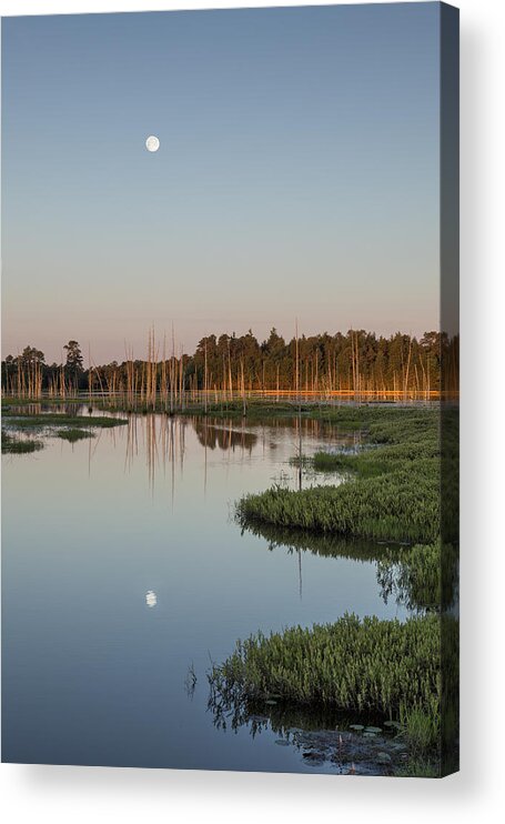 Moon Acrylic Print featuring the photograph Moon Over The Preserve by Denise Bush