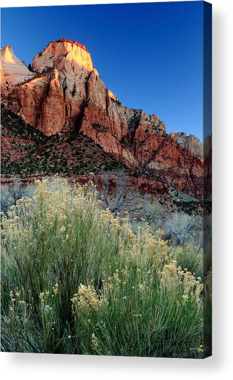 Utah Acrylic Print featuring the photograph Morning at Zion National Park by Eric Foltz