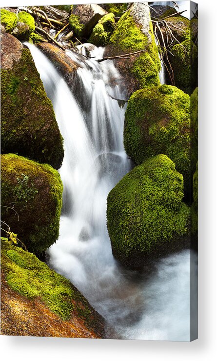 Nature Acrylic Print featuring the photograph Mossy Water by Steven Reed
