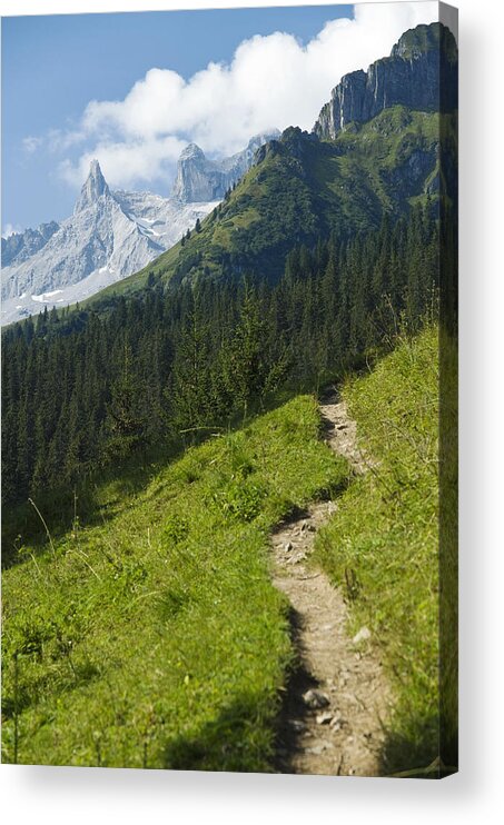 Footpath Acrylic Print featuring the photograph Mountain Path by Chevy Fleet
