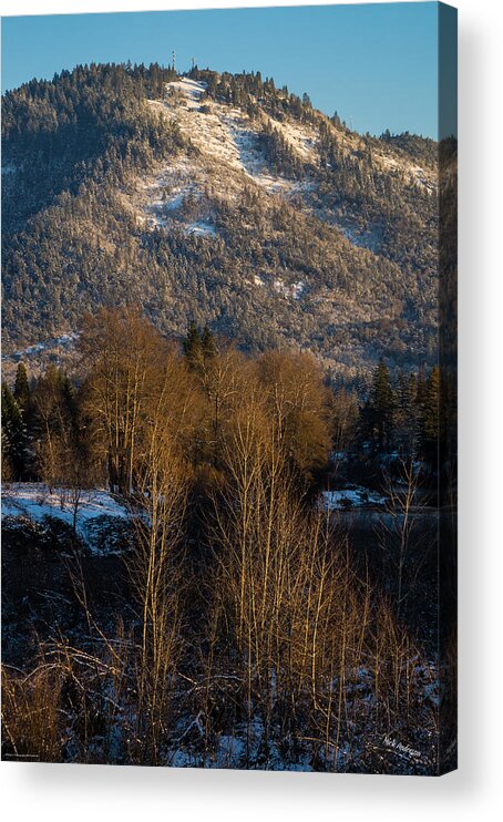 Mt Baldy Acrylic Print featuring the photograph Mt Baldy near Grants Pass by Mick Anderson