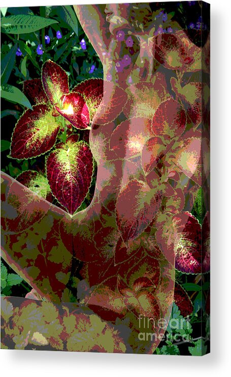 Nude Acrylic Print featuring the photograph Natures Nudes Six Coleus by Jack Ader