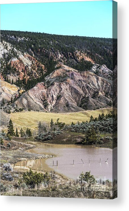 Nature's Palette Acrylic Print featuring the photograph Nature's Palette by Sandi Mikuse