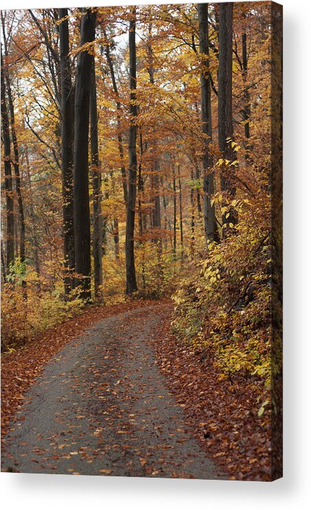 Miguel Acrylic Print featuring the photograph New Autumn Trails by Miguel Winterpacht