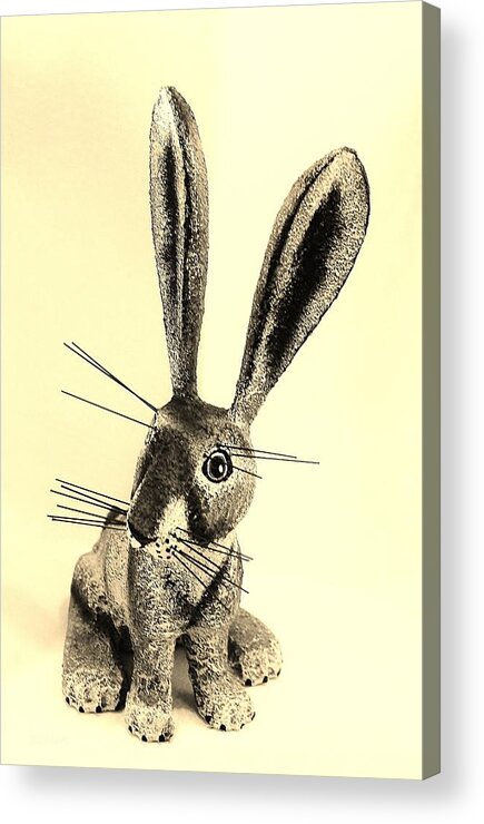Rabbit Acrylic Print featuring the photograph New Mexico Rabbit Light Sepia by Rob Hans