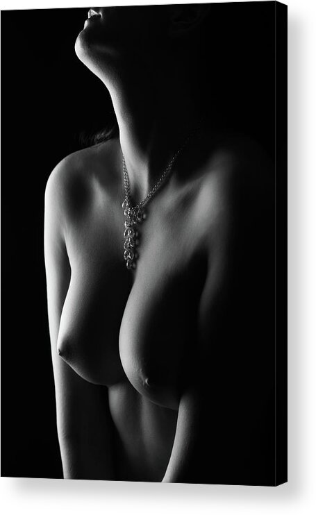 Nude Acrylic Print featuring the photograph Nude Curves by Jan Blasko